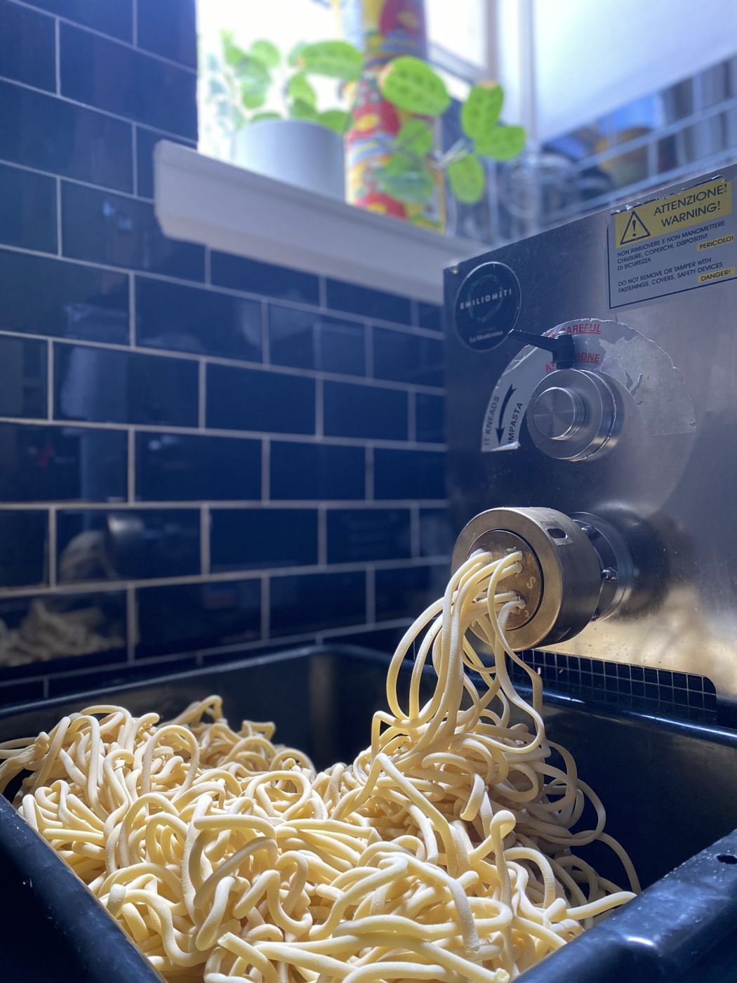 Fresh pasta coming out of the extruder in the Bellhop kitchen